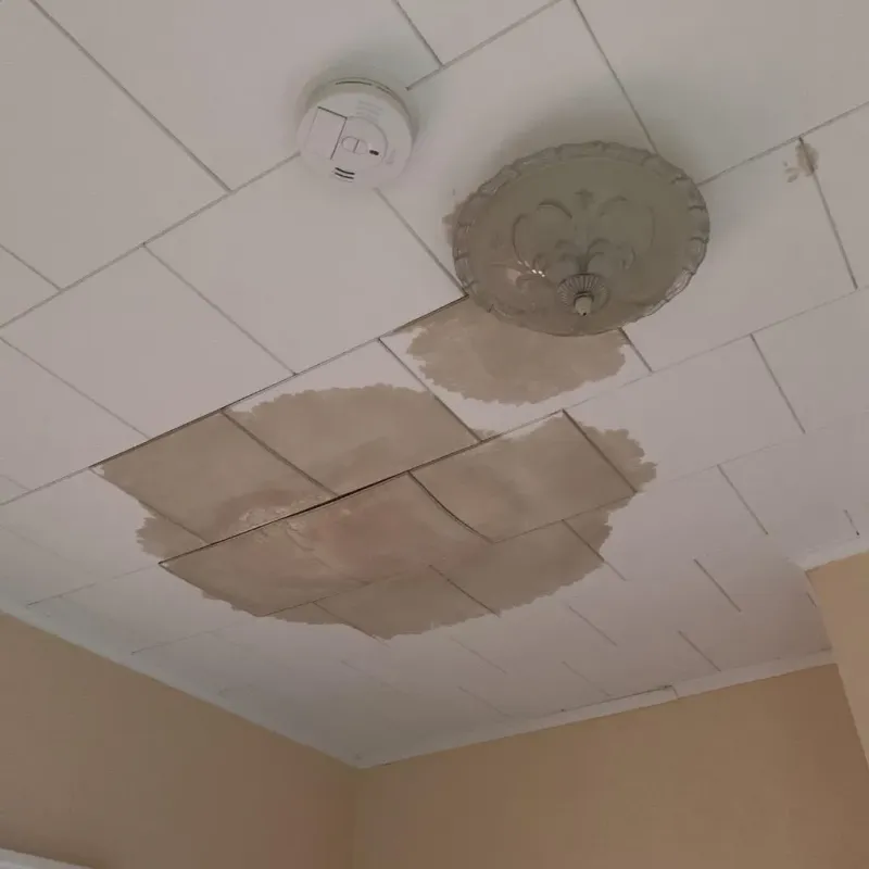 Ceiling Water Damage Repair in Medway, MA